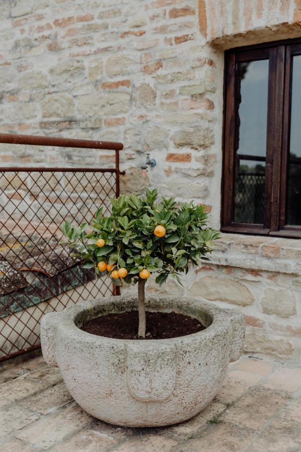 Agriturismo Qui Voglio Monte Roberto Εξωτερικό φωτογραφία