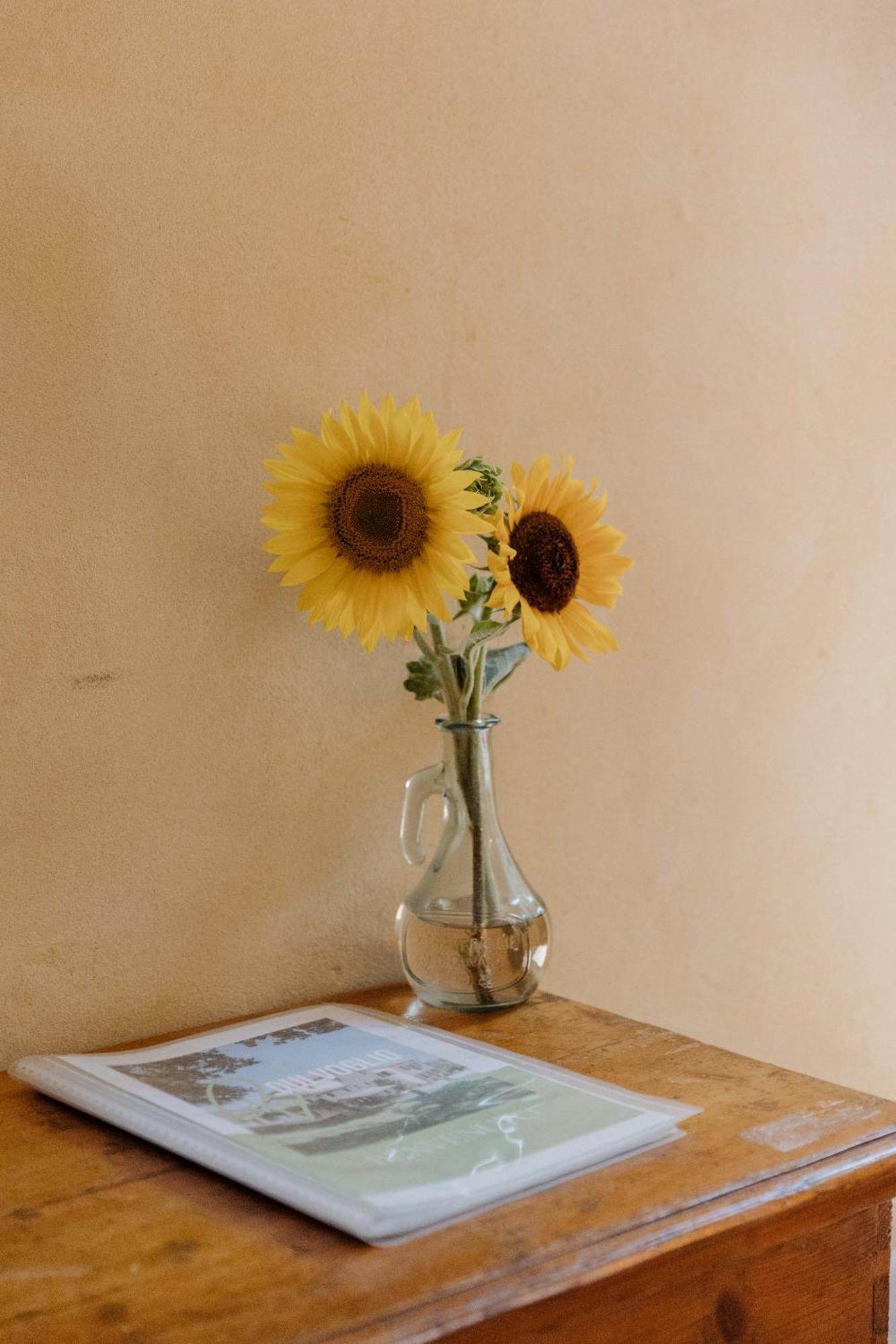Agriturismo Qui Voglio Monte Roberto Εξωτερικό φωτογραφία